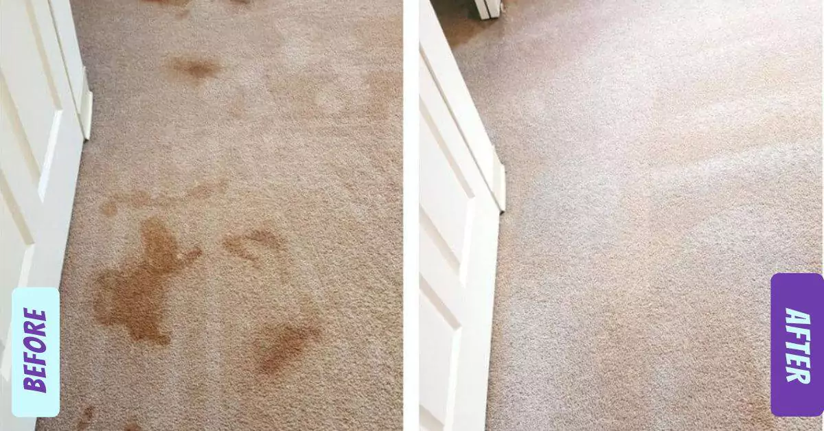 Before and After Carpet