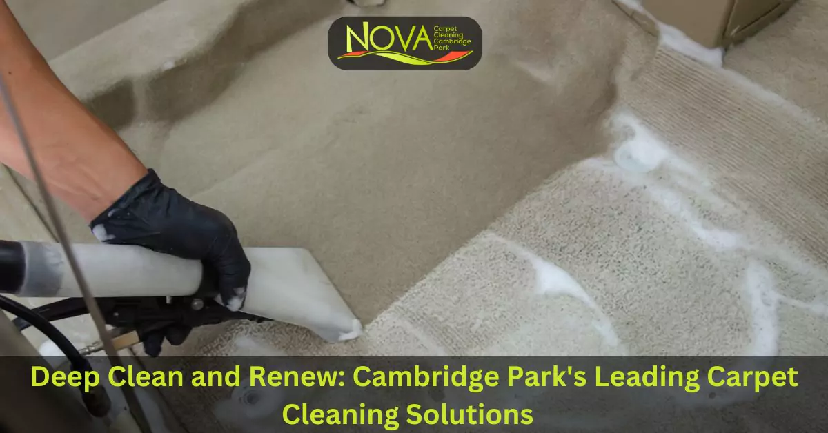 Carpet Cleaning Cambridge Park